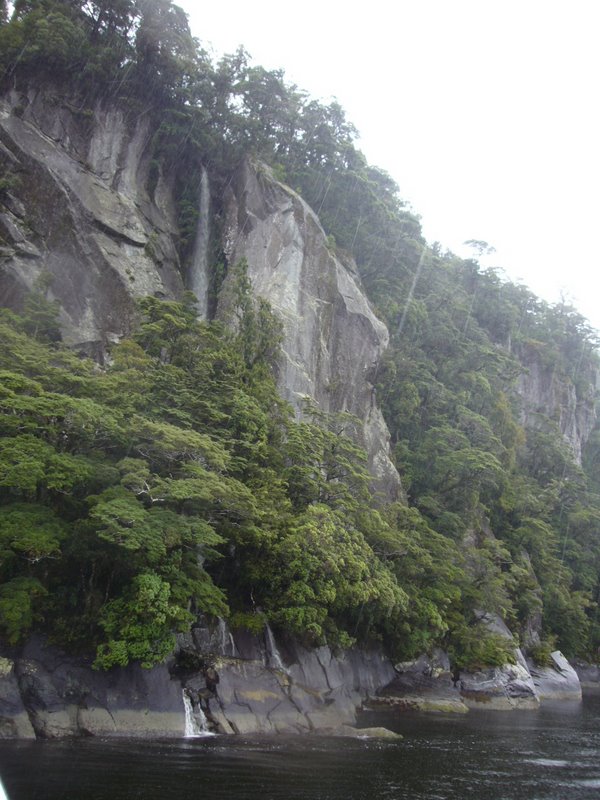 Travel - New Zealand - Milford Sounds